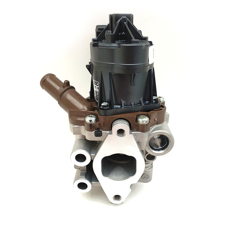 EGR 2.3l partie électrique
