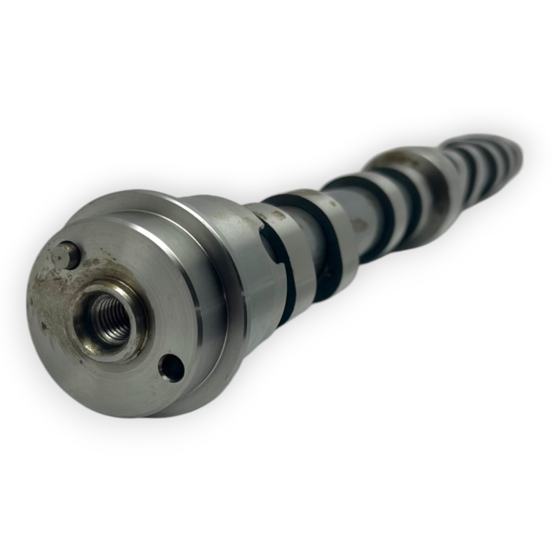 ARBRE A CAMES ADMISSION