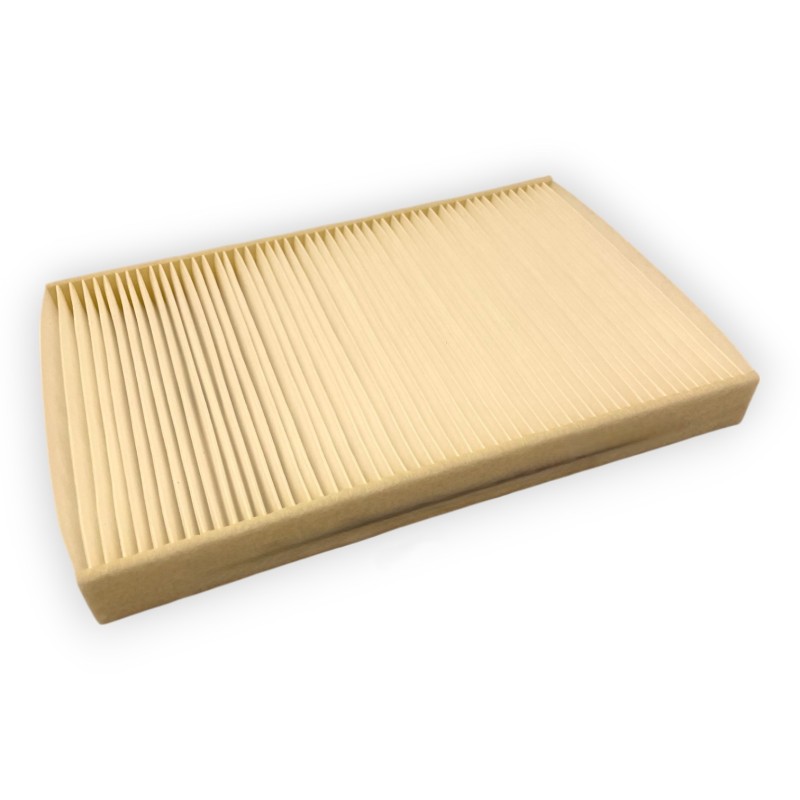 Filtre à pollen Daily Euro 4/5